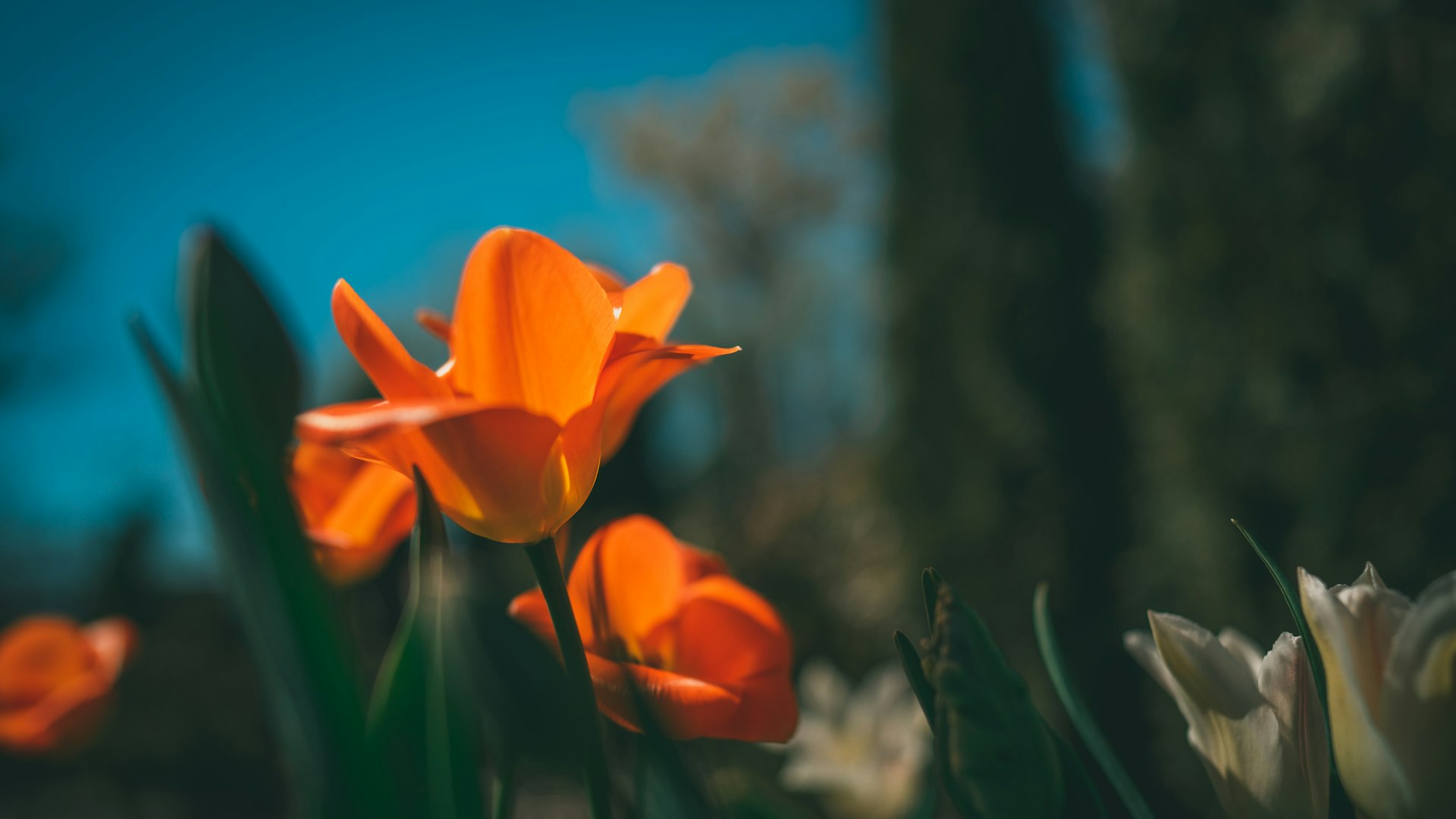 業界動向レポート